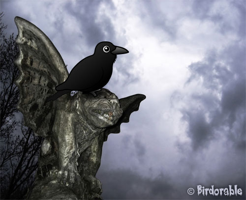 Common Raven on Halloween