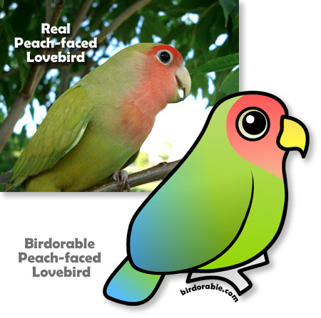 Real and Birdorable Peach-faced Lovebird