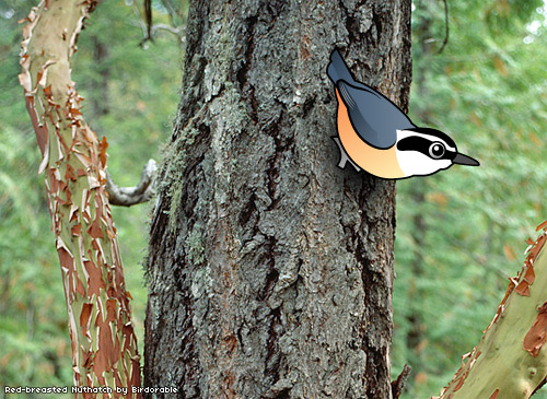 Birdorable Red-breasted Nuthatch
