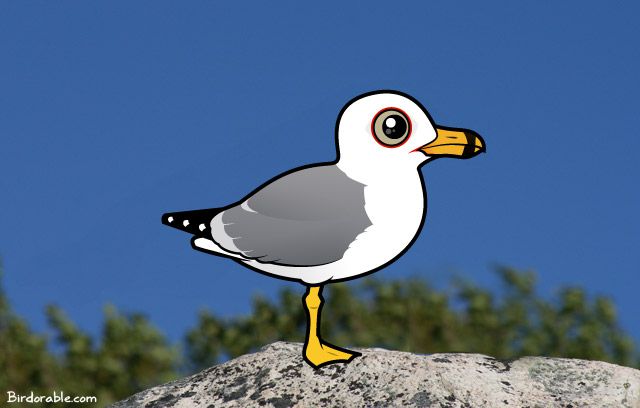 Birdorable Ring-billed Gull standing on one leg