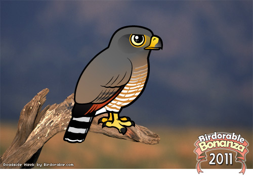 Birdorable Roadside Hawk