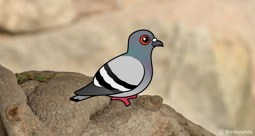 Birdorable Rock Pigeon on tree