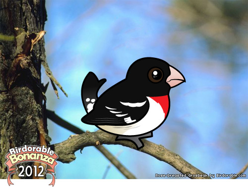 Rose-breasted Grosbeak