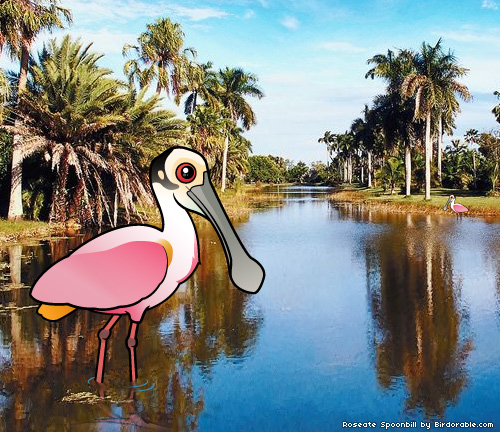 Birdorable Roseate Spoonbill