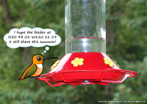 Birdorable Rufous Hummingbird Birdorable Rufous Hummingbird