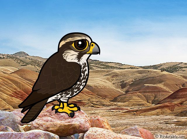 Birdorable Saker Falcon
