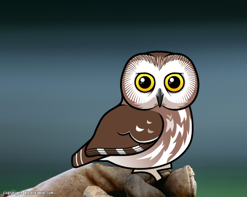 Birdorable Northern Saw-whet Owl