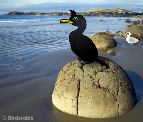 birdorable European Shag
