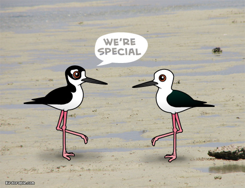 Birdorable Stilts