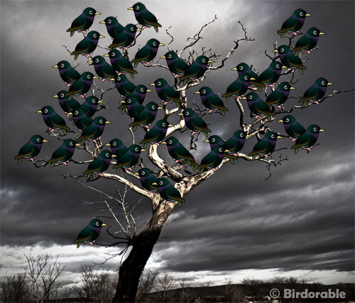 Birdorable European Starlings