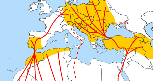 White Storks migration map