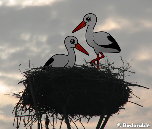 Birdorable White Storks