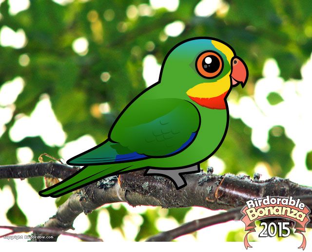 Birdorable Superb Parrot