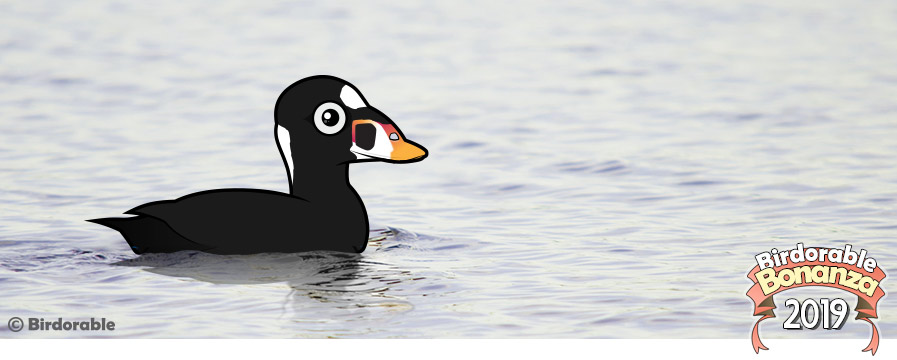 Birdorable Surf Scoter