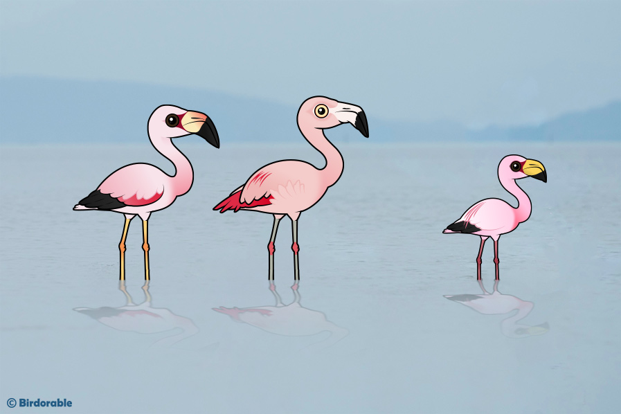 Birdorable flamingos