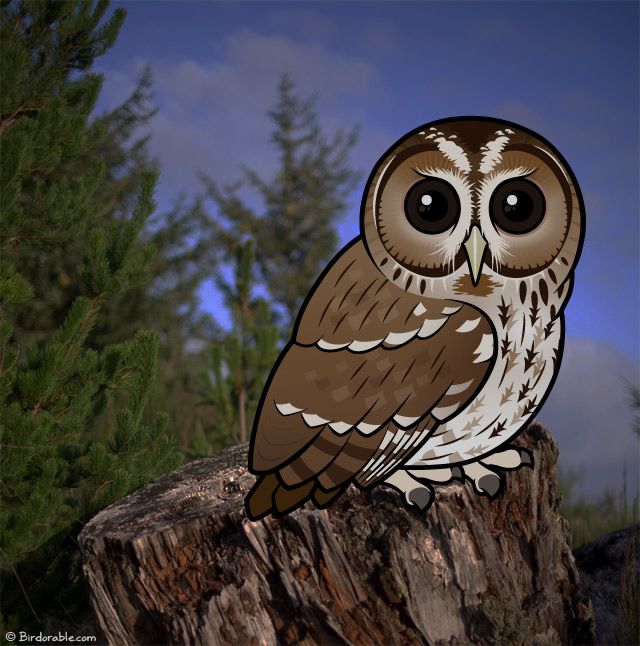 Cartoon Birdorable Tawny Owl