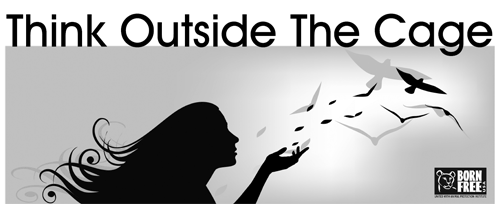 Think Outside The Cage
