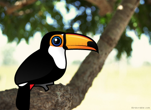 Birdorable Toco Toucan