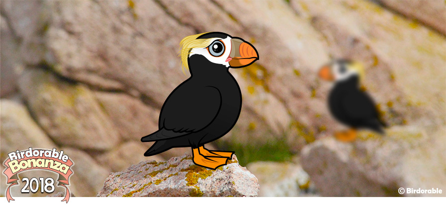 Cute Birdorable Tufted Puffin