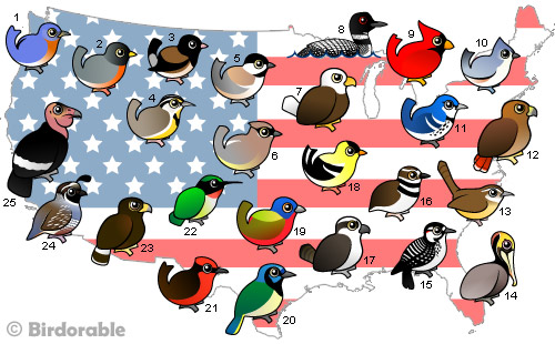 Map of United States with Birdorable birds