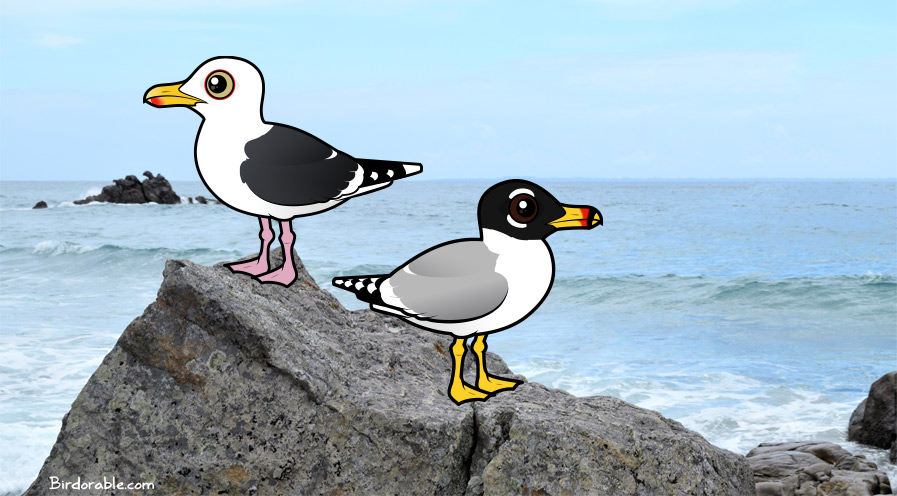 Birdorable Western Gull and Pallas's Gull