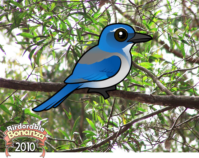 Birdorable Western Scrub-Jay