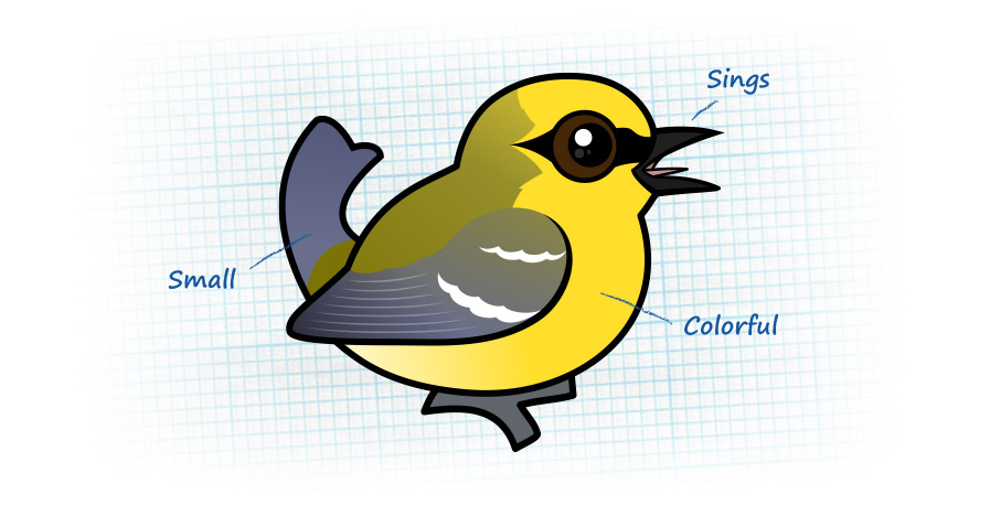 What is a warbler?