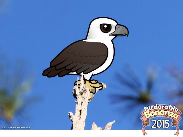 Birdorable White-bellied Sea Eagle