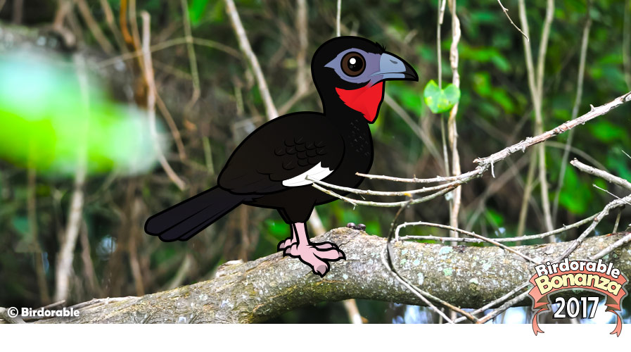 Birdorable White-winged Guan