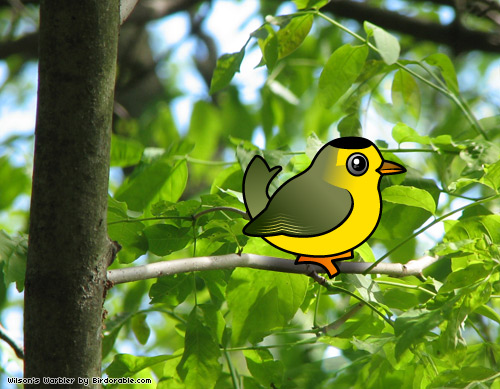 Birdorable Wilsons's Warbler