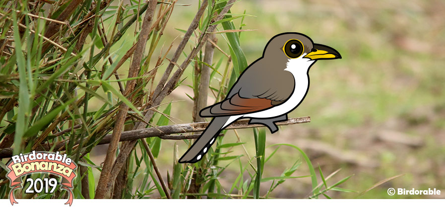 Birdorable Yellow-bileld Cuckoo