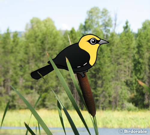 Birdorable Yellow-headed Blackbird