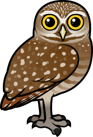 Birdorable Burrowing Owl