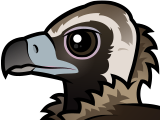 Cinereous Vulture