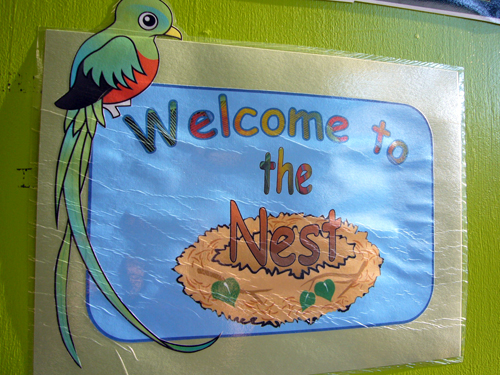 Welcome to the Nest Welcome to the Nest