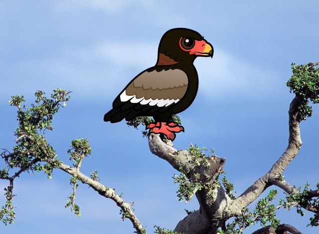 Birdorable Bateleur