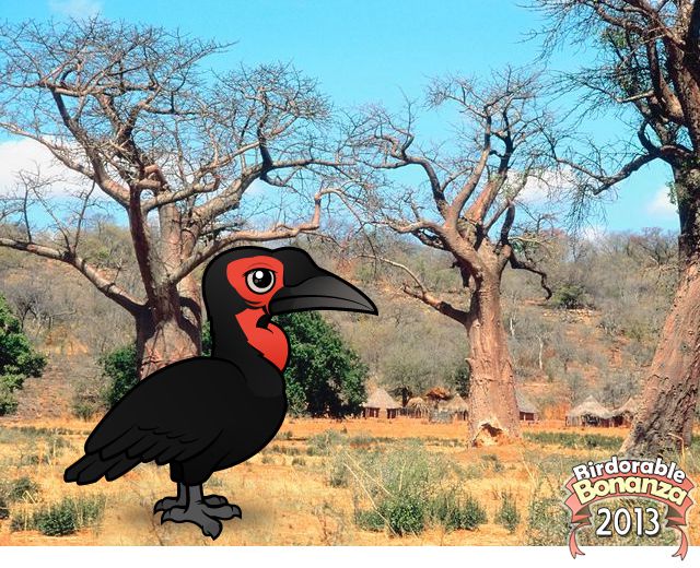 Birdorable Southern Ground Hornbill