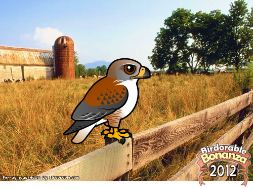 Ferruginous Hawk