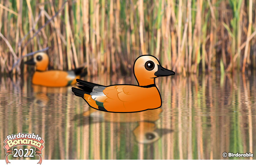 Birdorable Ruddy Shelduck